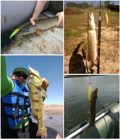 Minnow Fishing Lures (10pcs)