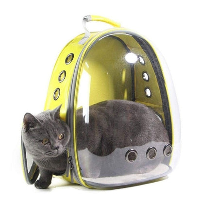 CAT capsule