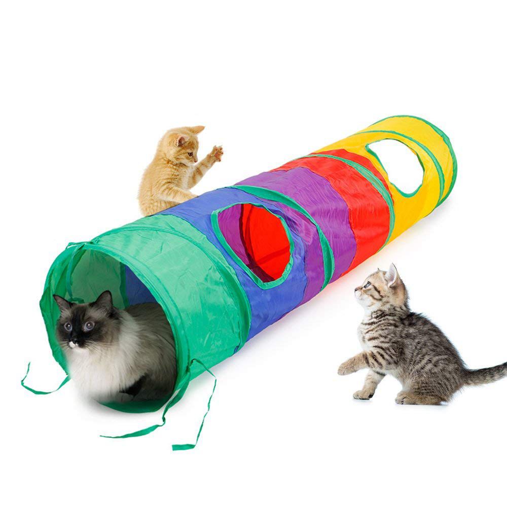 Túnel de Gato colorido