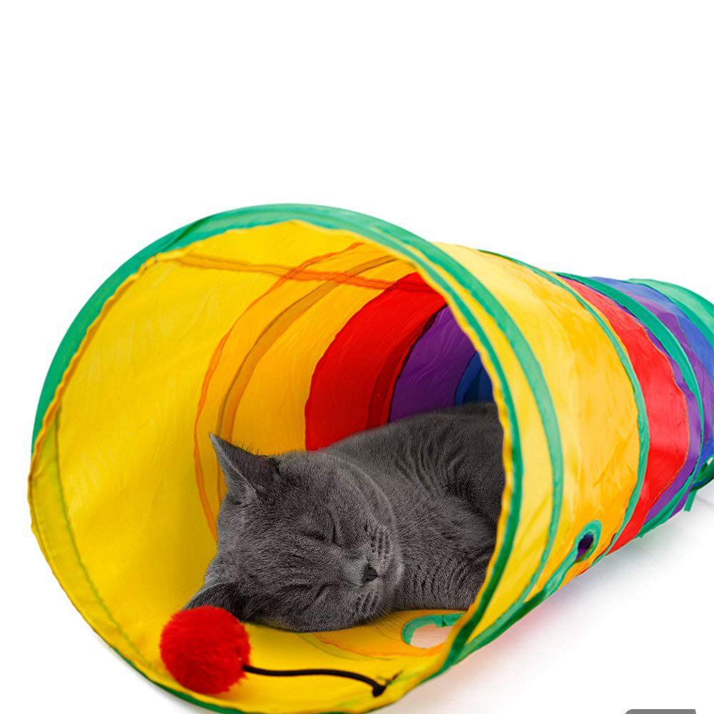 Túnel de Gato colorido